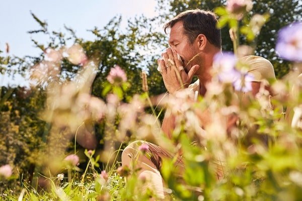 Man sitting in a sunny, flower-filled field, covering his nose with both hands as he sneezes.