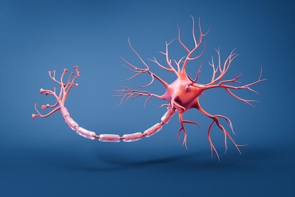 Illustration of a neuron with a rounded cell body, branching dendrites, and a myelinated axon traveling across a blue background