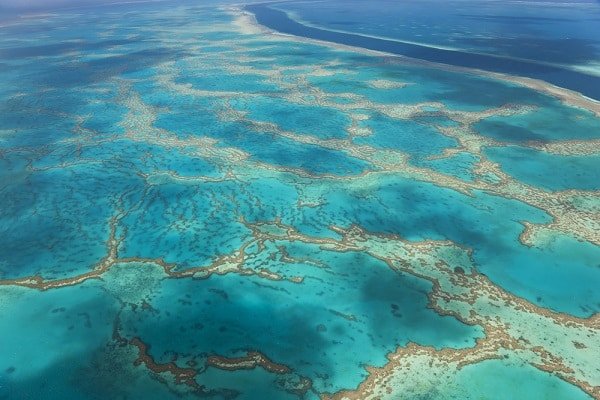 Aerial view of turquoise shallow seas with winding coral reef channels and sandy shoals from above on a sunny day.