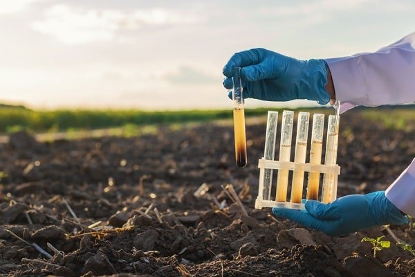 Scientist in blue gloves holds a test tube with brown liquid and a rack of test tubes outdoors in a soil field.