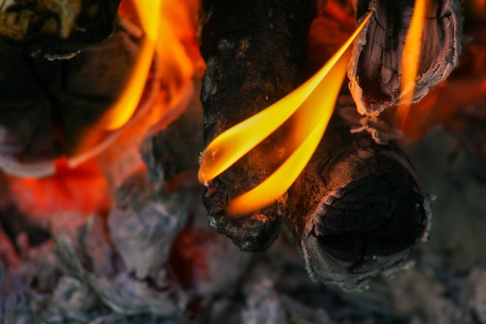 Close-up of glowing orange flames licking charred logs in a bed of embers and ash, capturing the heat of a fire.