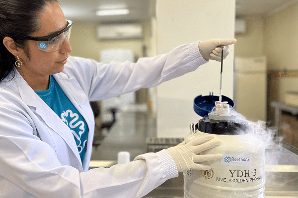 Female scientist in safety goggles and gloves operates a cryogenic dewar with a long dip tube, releasing cold vapor in a lab setting.