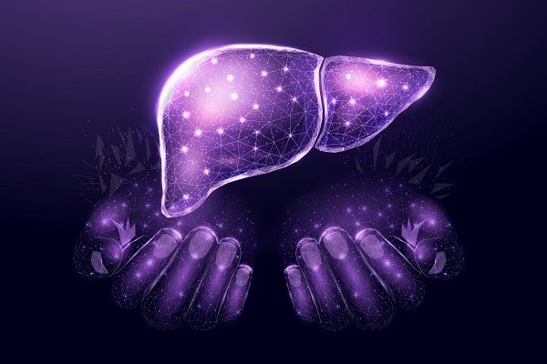 Purple glowing liver cradled in cupped hands, symbolizing liver health and care.